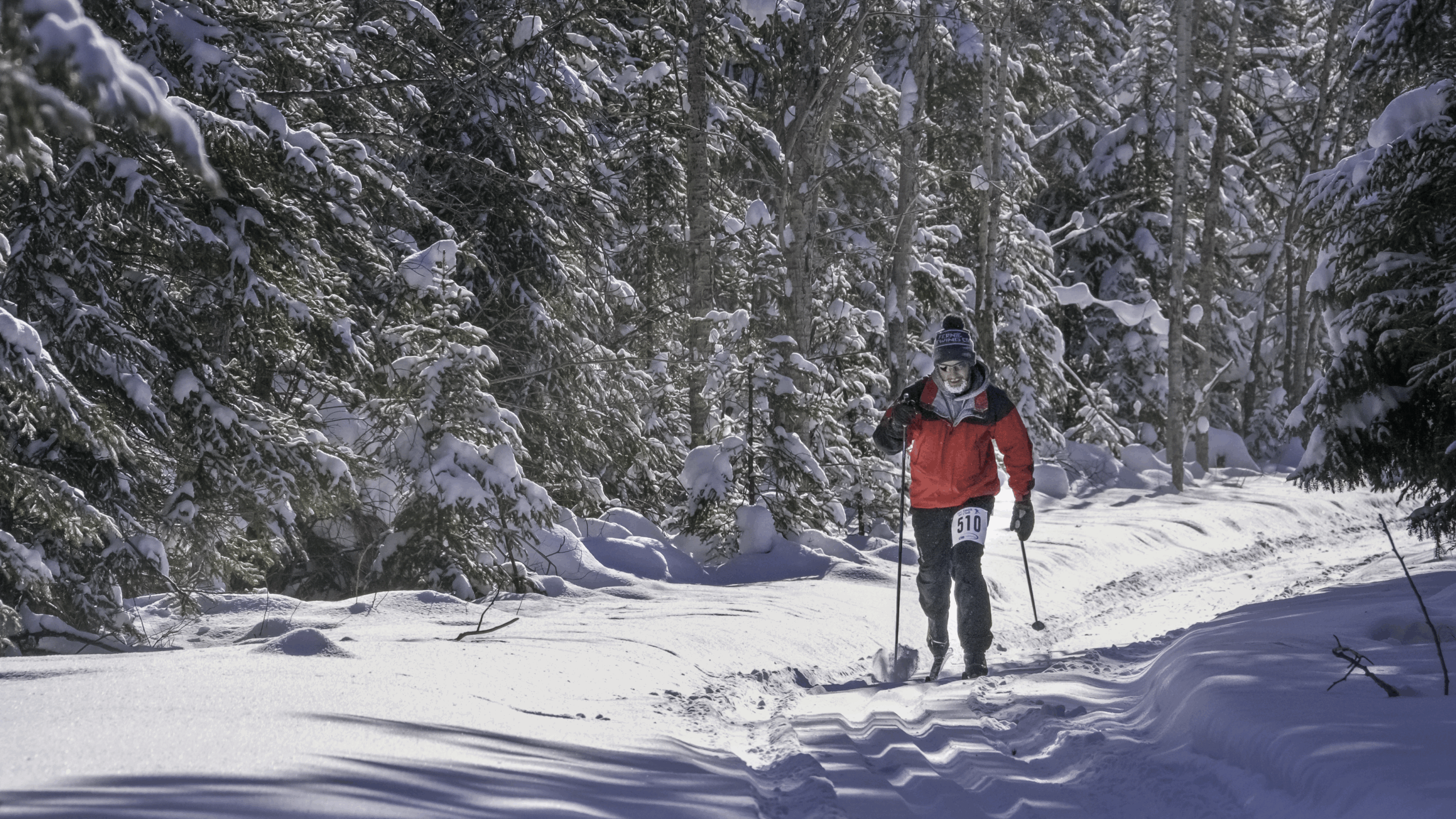 loppet-skier-wide4