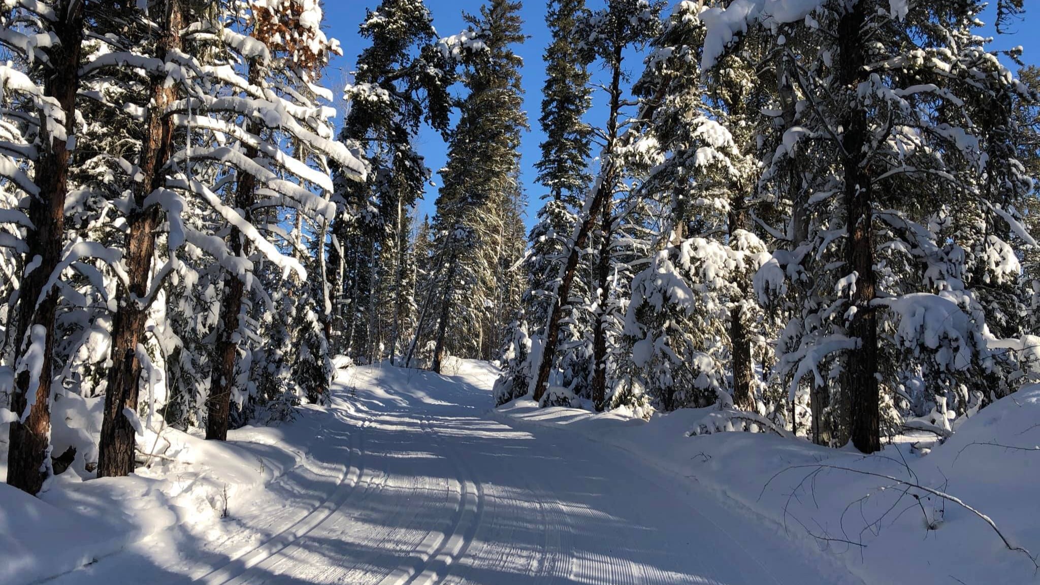 ski-trails1-wide