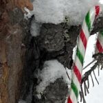 cc ski3